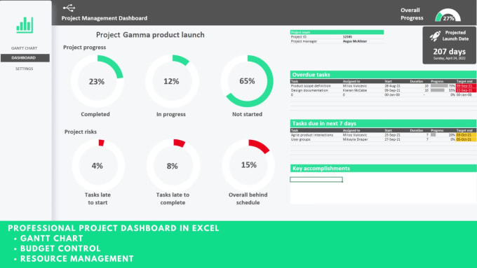 I will create interactive dynamic dashboard for project management in excel