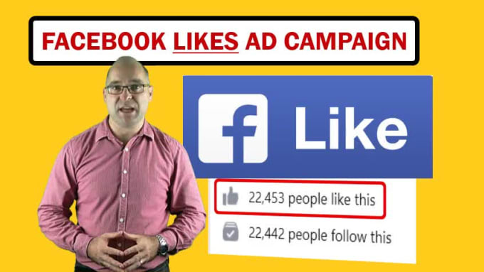 I will run a facebook ad campaign to grow page likes