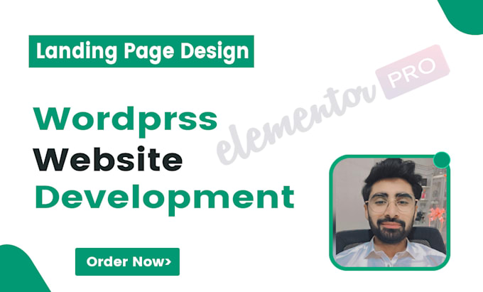 I will do wordpress website development, design or redesign elementor landing page