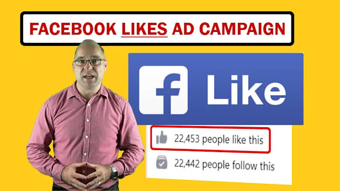 I will run a facebook ad campaign to grow page likes